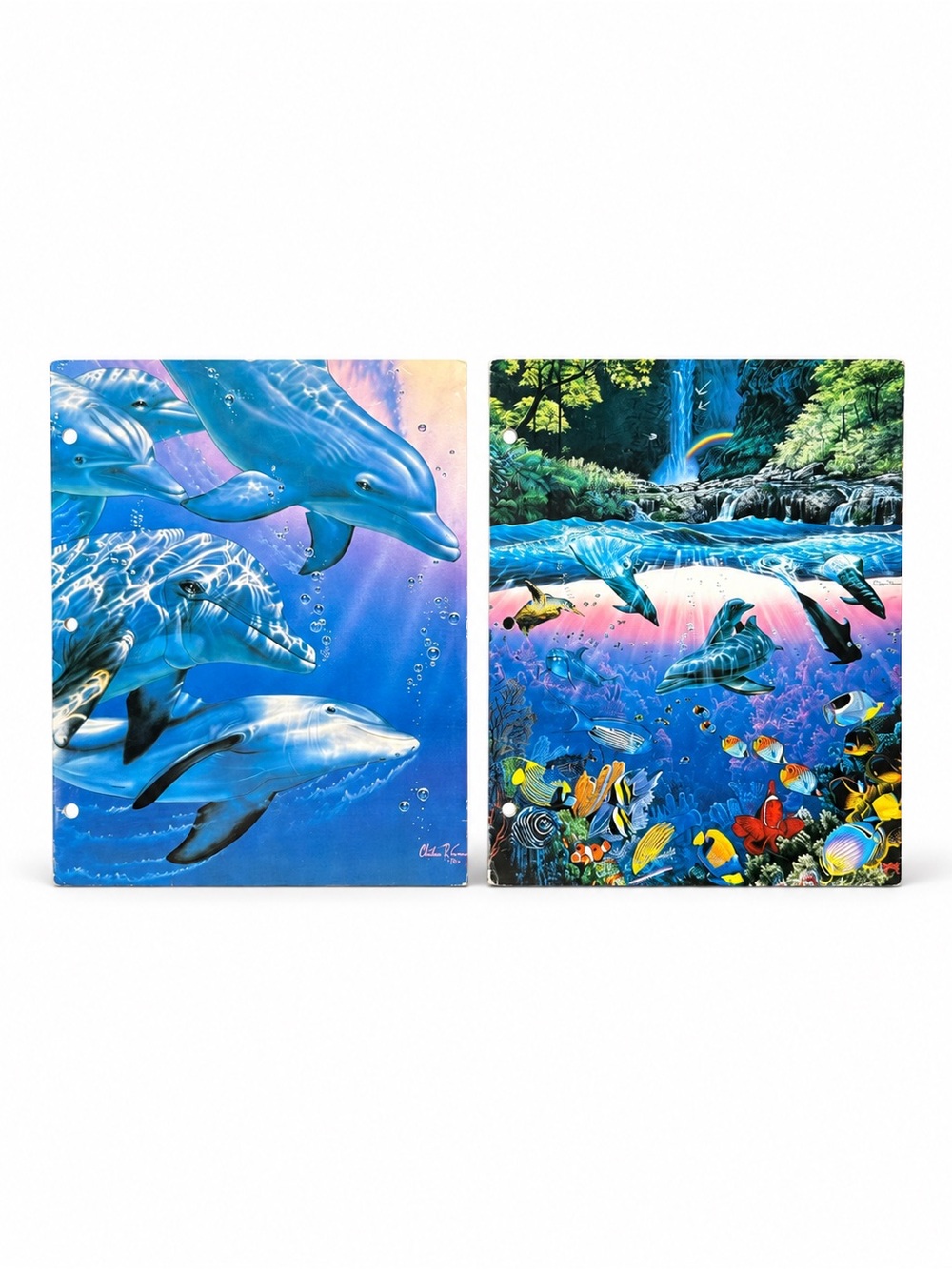 Vintage 1990s Christian Riese Lassen Dolphin Ocean School Folders Lot of 2